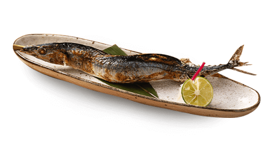 秋刀魚