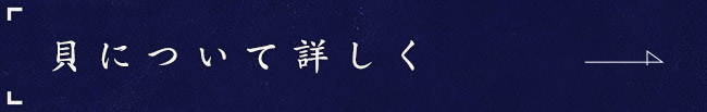 貝について詳しく